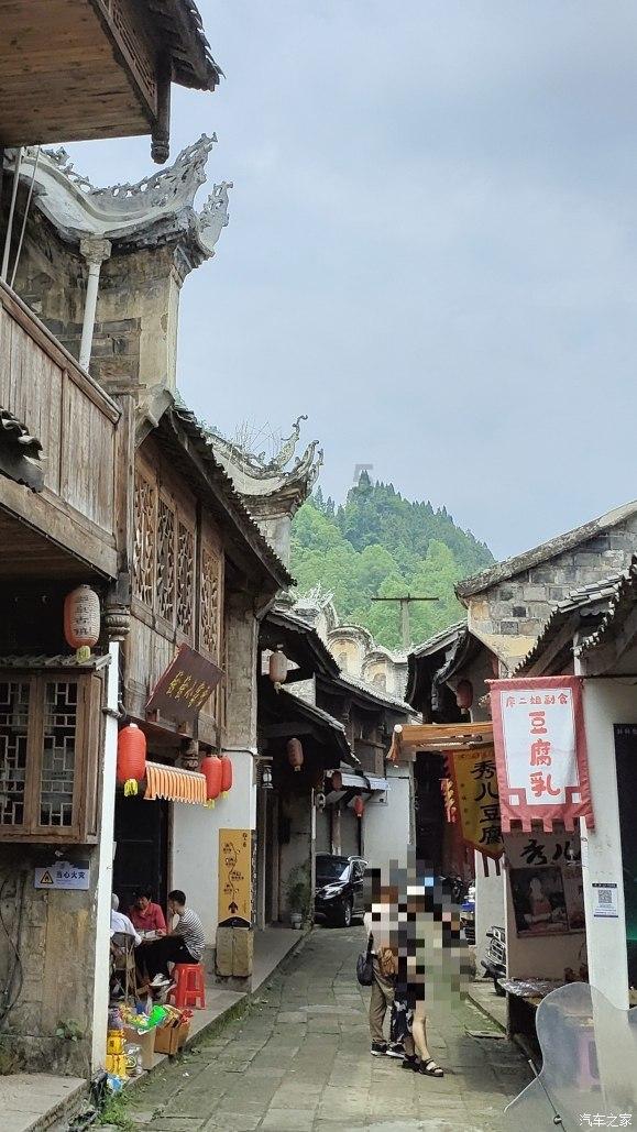 园丁逃生
